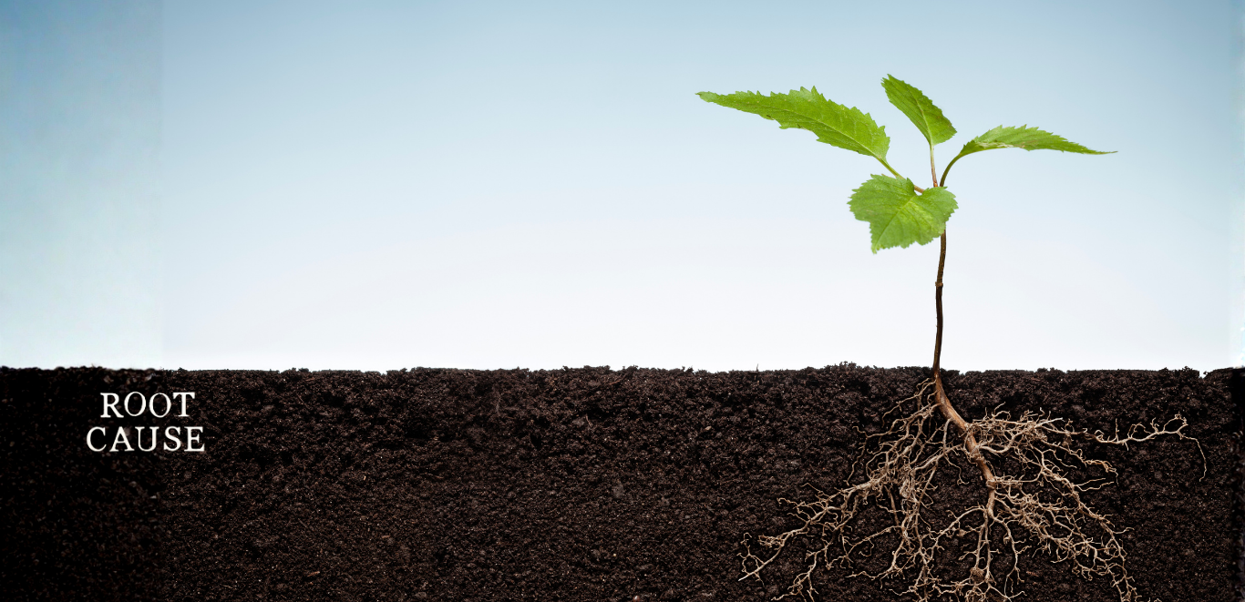Root cause representation with a young plant emerging from dark soil, symbolizing the foundational approach of functional medicine in addressing chronic health issues.